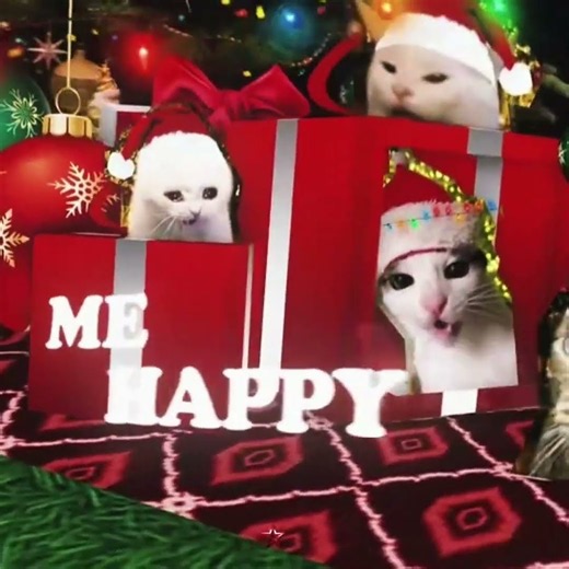 Christmas edit cats