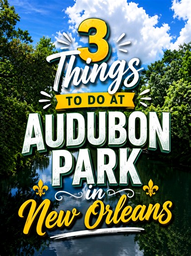 3 Things to do at Audubon Park in New Orleans Most people drive right past this place — but Audubon Park is one of New Orleans' best-kept secrets! 🌳✨ From a 300-year-old climbing tree to a bird island in the middle of a lagoon, here's what you NEED to do on your next visit. 🌳 Thing 1 — Climb the Tree of Life Hidden near the Audubon Zoo entrance is one of the most magical spots in all of New Orleans — the Tree of Life. This massive southern live oak was planted around 1740, making it well over