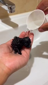 Mini Diva Black Power: Cachorrinha Mais Fofa do Mundo! 🐾✨ | KitemDoguinhos