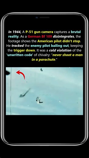 This WW2 Dogfight Broke the Unwritten Rules of War #history