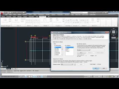 RebarCAD Video Demo 15 (Releasing and ordering steel)