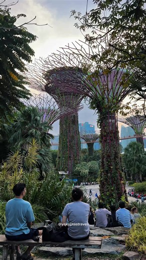 Explore Supertree Grove: A Sustainable Marvel in Singapore
