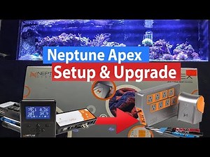 Neptune Apex Setup - Upgrading from Apex Classic to Apex 2016