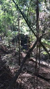 2.8K views · 107 reactions | Road Runner on SS 5 at the Partolapart Winch Challenge | Road Runner Offroad | Facebook