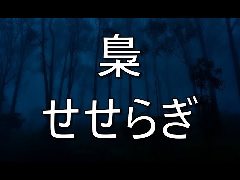 フクロウ 森の音 眠れる 落ち着く Nature Sounds Owl Black screen