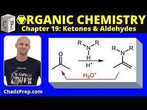 19.6b Addition of Secondary Amines Enamine Formation