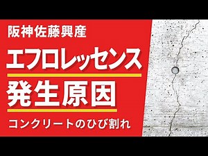侵入を防ぐ‼エフロレッセンスの発生原因を解説！(Vo.121)