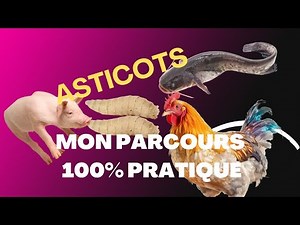 Les Secrets de la Production d'Asticots Mouche Soldat Noire Révélés : Mon Parcours Complet #asticots