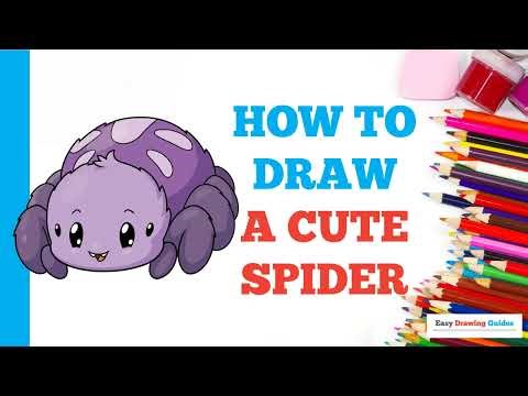 How to Draw a Cute Spider: Easy Step by Step Drawing Tutorial for Beginners