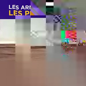 5.6M views · 170 reactions | Oui, la guerre c'est moche, et parfois c'est même complètement ridicule | Topito Voyage | Facebook