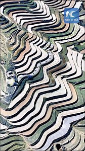 11K views · 71 reactions | Nature's masterpiece in northwest China! The Loess Plateau's breathtaking terraces curve with the mountains, a stunning testament to human resilience and harmony with the land. | Xinhua Culture&Travel | Facebook