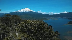 Parque Nacional Conguillio Chile. Congiglio -: video de stock (totalmente libre de regalías) 3515005185 | Shutterstock