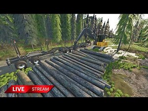 Moved A Lot of Wood Tonight! - No Commentary Stream - (Portrait View)