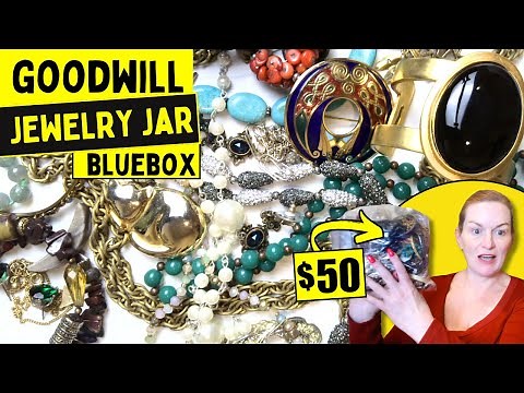I Spent $50 on a GOODWILL Bluebox Jewelry Bag Found Treasures! 5 Pound Jewelry Jar Unboxing 2025