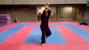 25 reactions | Lau Gar Kuen- Hung gar Hung Gar es uno de los estilos...