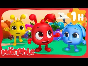 Babies Magical Colors! 🌈✨ | Cartoons for Kids | Mila and Morphle Adventures