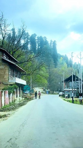 Pahalgam Road View 🌲🥰🩷 #kashmir #explore #viral | Kashmir Nature Explorer