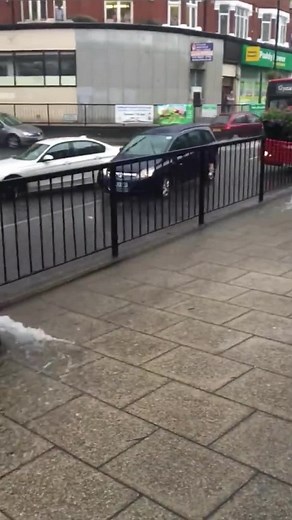 Exploring the Underwater World with Ozzy Man Reviews