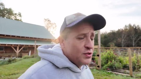 Experiencing farm life entirely from the animal’s perspective