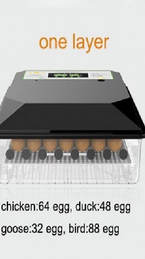 8K views · 51 reactions | *¶¶Karibu jipatie VIFARANGA VYA KUKU bei...