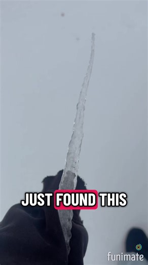 Tactical waffle (@giyuusleftasscheekclap00)’s videos with original sound - Tactical waffle