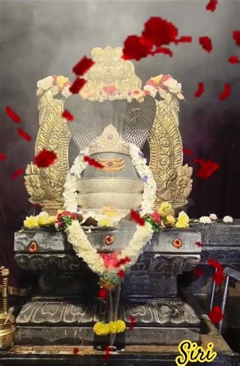 17 January 2026mulapadu Temple like and subscribe me siri💐👍💐