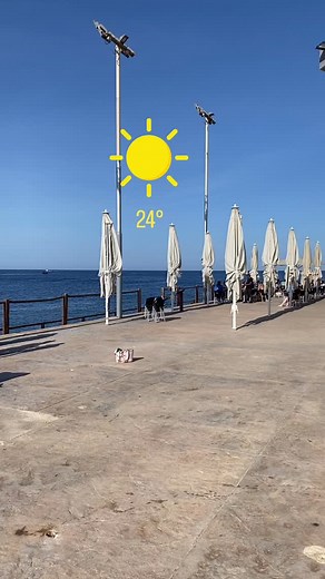 992 reactions · 52 shares | Winter vibes in Malta  ❤️ “Live your life as it meant to be” #malta #lifeinmalta #islandlife #lovmalta #wintervibes #carpediem | Life in Malta | Facebook