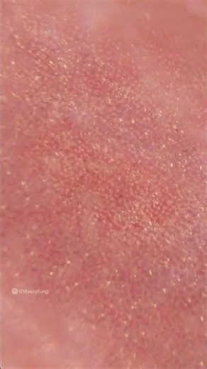 Amazing Macro Zoom Under Microscope – Hidden Details You’ve Never Seen 🧐🔥