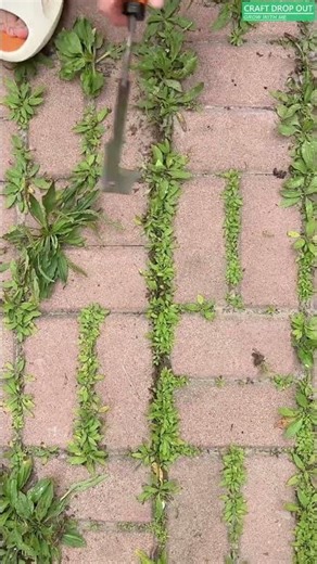 Multi-Edge Crack Weeding Tool for Cleaning Joints and Gaps 🌿🛠️