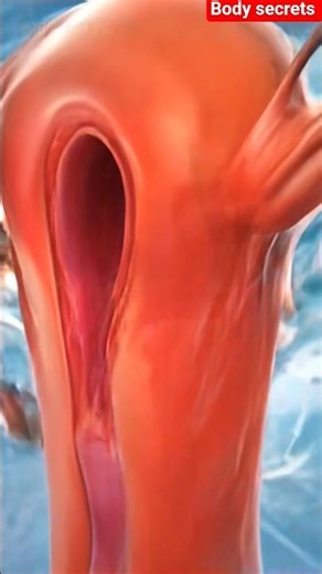 nside the Uterus: The Truth About Discharge 😱