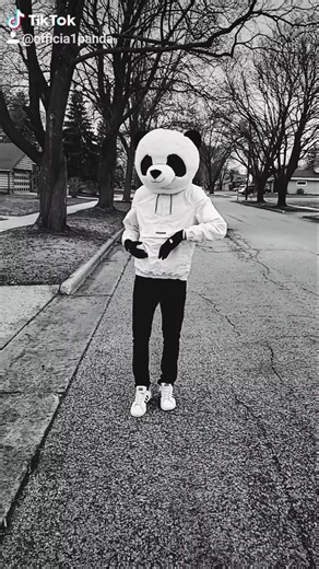 Panda lifestyle #fyp #xyzbca #foryou #foryoupage #dance #makemefamous #moodboost