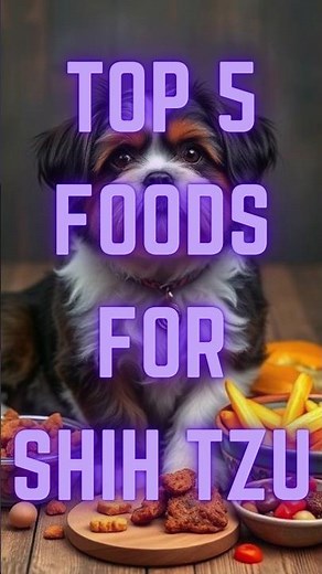 TOP 5 FOODS FOR SHIH TZU🥗🍗| Healthy food for dogs #dogfood #shorts #dog #ai