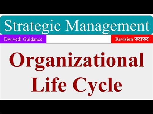 Understanding the Organizational Life Cycle and Its Stages in Strategic Management