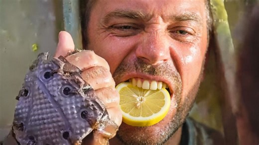 为什么要不惜用珍贵的淡水浇灌柠檬树？是因为柠檬汁里的维生素c可以对抗坏血病，大航海时代柠檬是最好的补充维c的救命物资