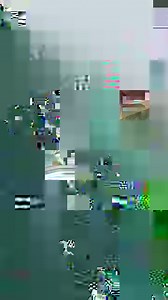 Take a look at this beautiful hive! We are excited to announce a FREE upgrade to sustainably sourced Western Red Cedar for all current hive and box pre-orders. If you've been saving up, pre-order at http://www.honeyflow.com/shop/p/94 by the 25th of August to receive the free upgrade too. | Flow Hive