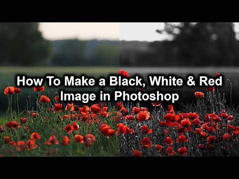 How To Make a Black, White & Red Image in Photoshop | Photoshop Tutorial