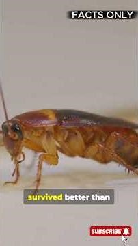 You Won't Believe These Animals Survive in Space! #facts #animalfacts