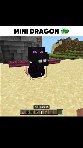 I Built a MINI ENDER DRAGON in Minecraft 😳