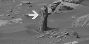A piece of wood is found on Mars (Video)