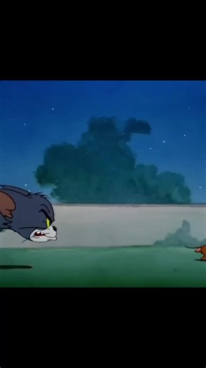 #fyp #cartoon #tomandjerry | Tom And Jerry