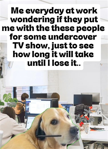 The Truth Behind Office Jokes and Humor