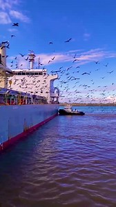 1.3K views · 48 reactions | Do not take a large dose of confidence, leave a place for disappointment, and a place to absorb it as well ✌ | AY PVC & ALU | Facebook