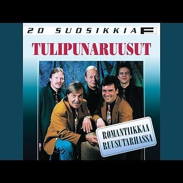 Romantiikkaa ruusutarhassa