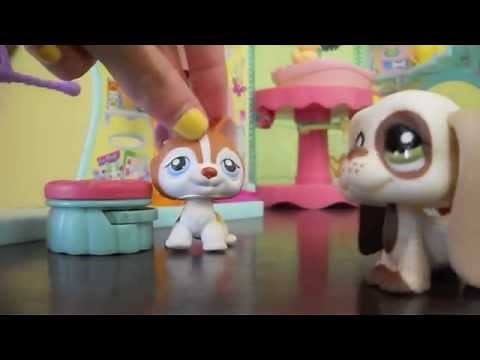 lps Rapunzel part 1 [ birthday wishes ]
