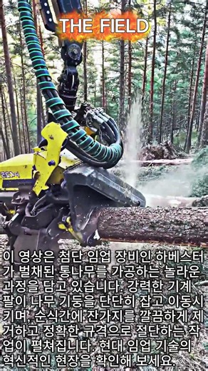10명 몫을 혼자 해내는 기계? 하베스터의 압도적인 통나무 가공 속도 #worker #process #harvester #logging #forestry