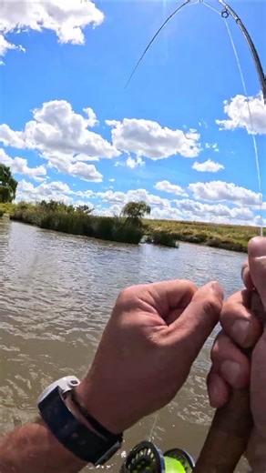 How to Catch a Yellow fish on Fly in the Vaal River!