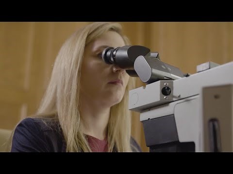 Genetic Testing vs Genomic Testing – Understanding the Difference