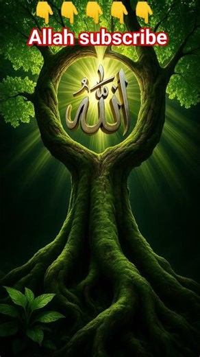 Allah ka photo Dali milega #tiktok #islamicvideo #allahuakbar #trendingshorts #100kview #viralvideo