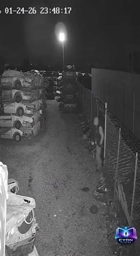 Motion detected after hours. #foundfootage #unexpected #instinct Follow for more moments like this.
