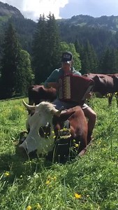 22K views · 1.1K reactions | LE BONHEUR EN ALPAGE ! Avec Ricky et Dylan Mongellaz qui interprètent "Ne m'oublie pas vieux chalet " sur le dos d'une magnifique abondance... qui semble apprécier ! Dans un alpage du Haut Val d´Arly (Haute Savoie-France). Un très grand merci à ces deux jeunes pour ce moment de bonheur partagé. Un grand merci à Carole Mongellaz pour cette vidéo. Christophe Favre #alpage #accordeon #vaches #bonheur | La Place du Village | Facebook